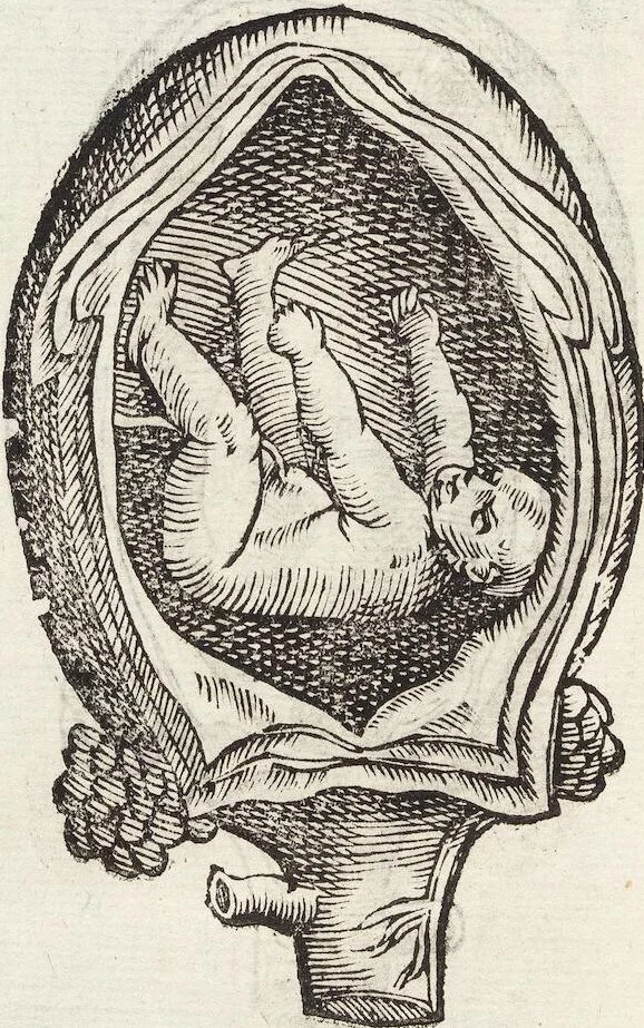 An illustration from Vlyssis Aldrovandi Patricii Bononiensis Monstrorvm Historia: cum Indice copiosissimo, 1642, leaf 74