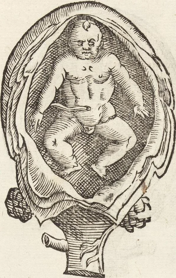 An illustration from Vlyssis Aldrovandi Patricii Bononiensis Monstrorvm Historia: cum Indice copiosissimo, 1642, leaf 75