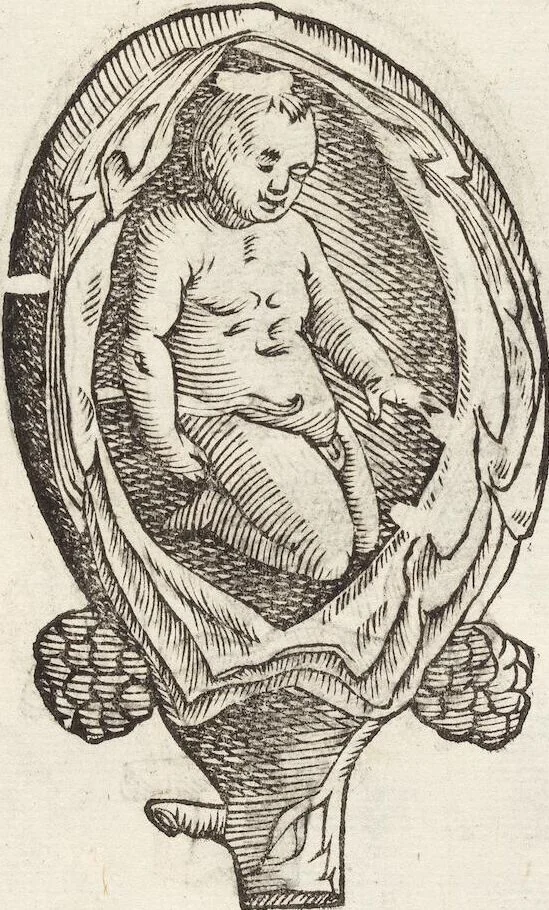 An illustration from Vlyssis Aldrovandi Patricii Bononiensis Monstrorvm Historia: cum Indice copiosissimo, 1642, leaf 75