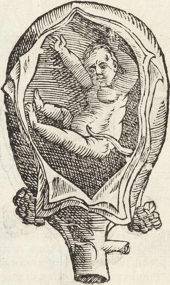 An illustration from Vlyssis Aldrovandi Patricii Bononiensis Monstrorvm Historia: cum Indice copiosissimo, 1642, leaf 76