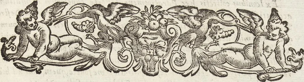 An illustration from Vlyssis Aldrovandi Patricii Bononiensis Monstrorvm Historia: cum Indice copiosissimo, 1642, leaf 797