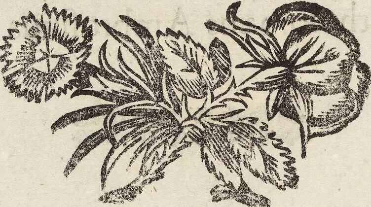 An illustration from Vlyssis Aldrovandi Patricii Bononiensis Monstrorvm Historia: cum Indice copiosissimo, 1642, leaf 798