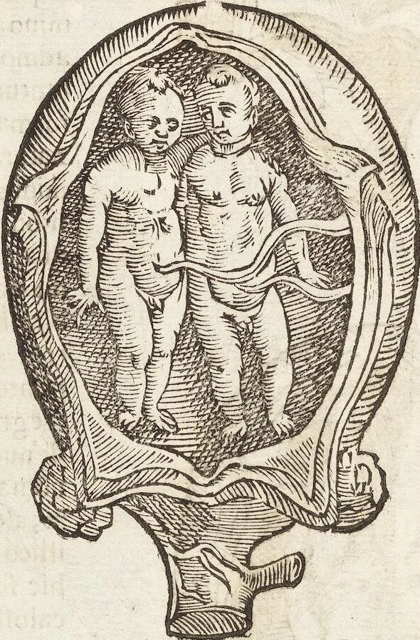 An illustration from Vlyssis Aldrovandi Patricii Bononiensis Monstrorvm Historia: cum Indice copiosissimo, 1642, leaf 80