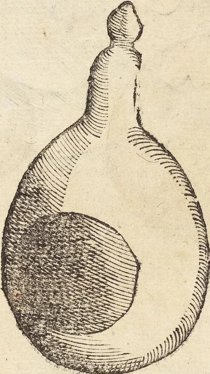 An illustration from Vlyssis Aldrovandi Patricii Bononiensis Monstrorvm Historia: cum Indice copiosissimo, 1642, leaf 807
