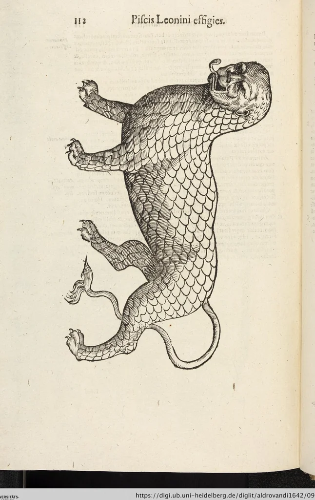 An illustration from Vlyssis Aldrovandi Patricii Bononiensis Monstrorvm Historia: cum Indice copiosissimo, 1642, leaf 906