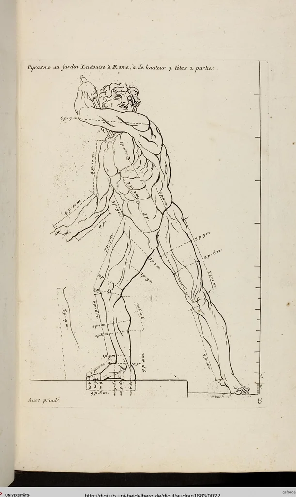 An illustration from Les Proportions Du Corps Humain: Mesurées sur les plus belles Figures de l'Antiquité, 1683, leaf 22