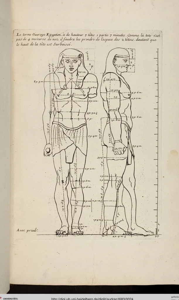 An illustration from Les Proportions Du Corps Humain: Mesurées sur les plus belles Figures de l'Antiquité, 1683, leaf 24