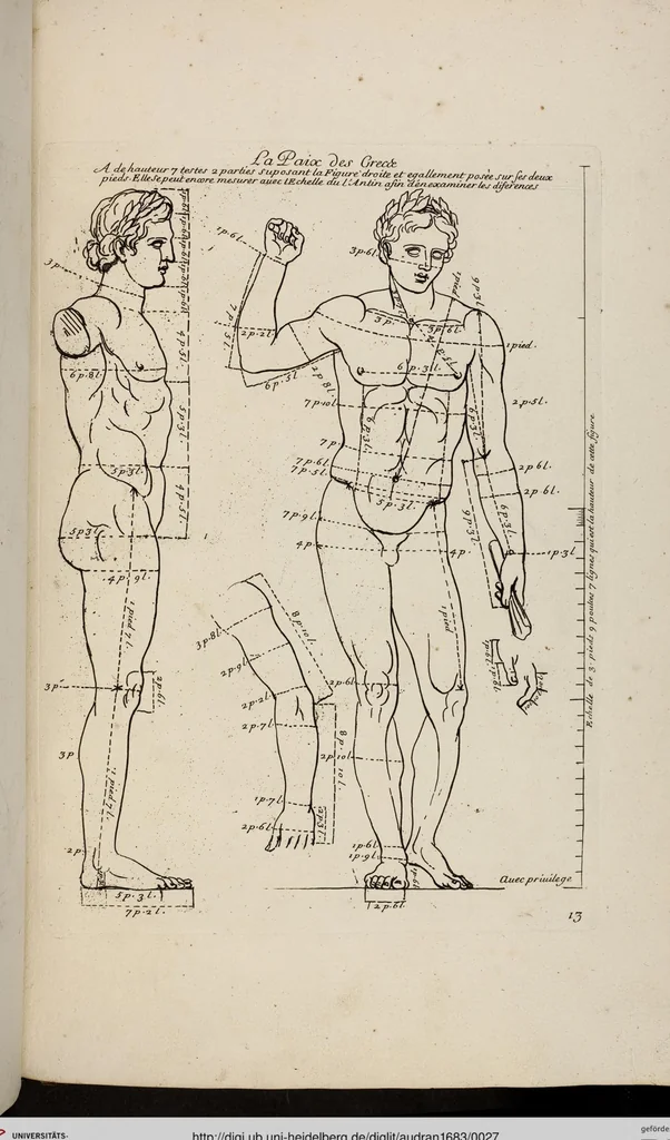 An illustration from Les Proportions Du Corps Humain: Mesurées sur les plus belles Figures de l'Antiquité, 1683, leaf 27