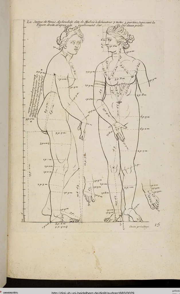 An illustration from Les Proportions Du Corps Humain: Mesurées sur les plus belles Figures de l'Antiquité, 1683, leaf 29