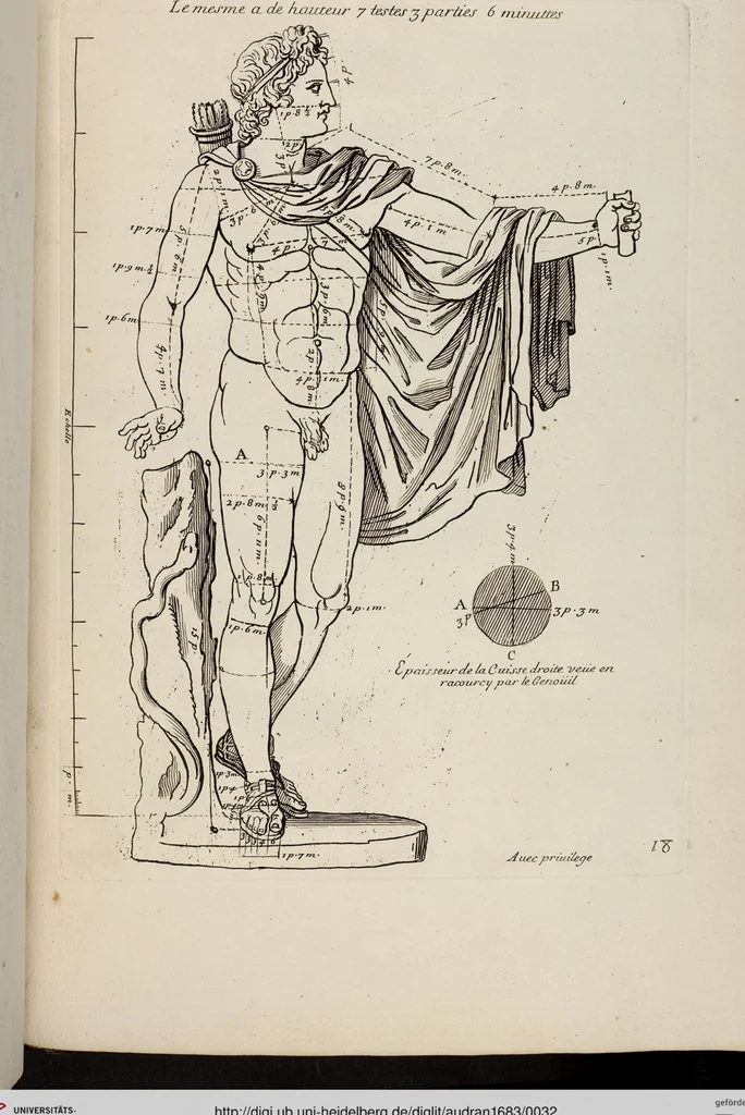 An illustration from Les Proportions Du Corps Humain: Mesurées sur les plus belles Figures de l'Antiquité, 1683, leaf 32