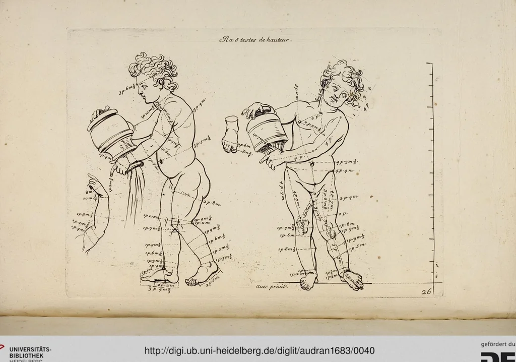 An illustration from Les Proportions Du Corps Humain: Mesurées sur les plus belles Figures de l'Antiquité, 1683, leaf 40