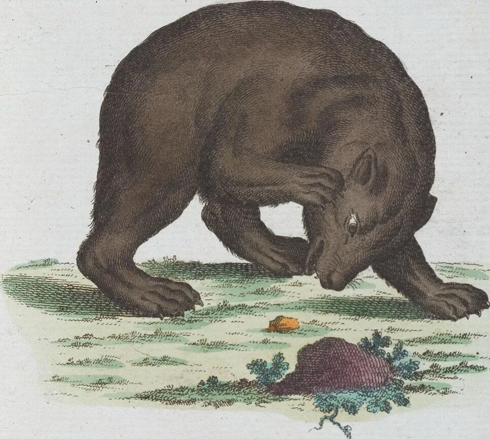 An illustration from (Band 1): Erstes Hundert, 1795, leaf 167