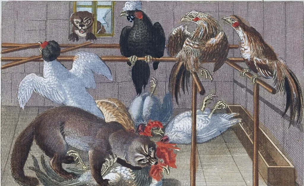 An illustration from (Band 1): Erstes Hundert, 1795, leaf 179