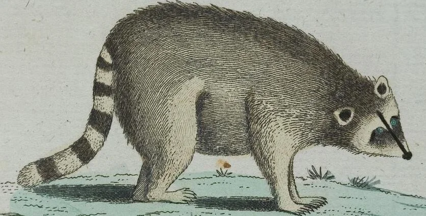 An illustration from (Band 1): Erstes Hundert, 1795, leaf 180