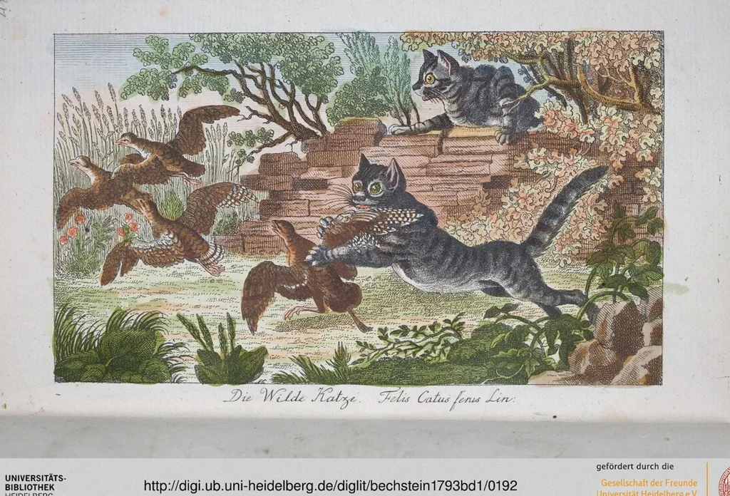 An illustration from (Band 1): Erstes Hundert, 1795, leaf 192