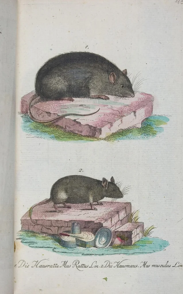An illustration from (Band 1): Erstes Hundert, 1795, leaf 193