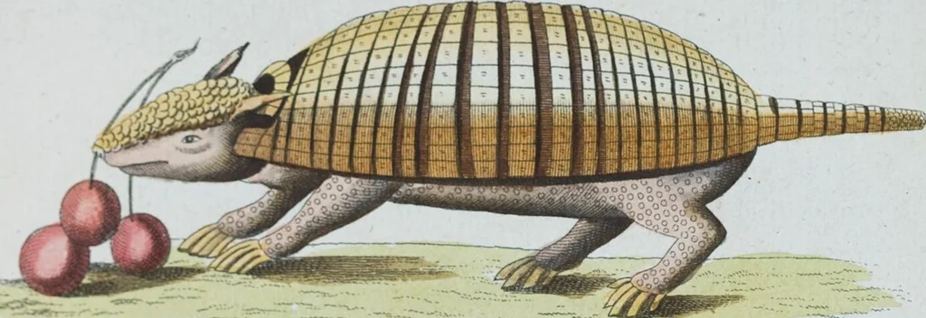 An illustration from (Band 1): Erstes Hundert, 1795, leaf 228