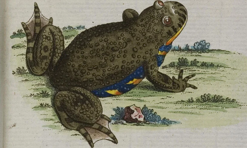 An illustration from (Band 2): Zweytes Hundert, 1796, leaf 122