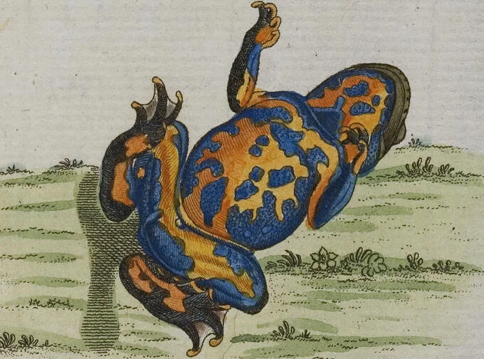 An illustration from (Band 2): Zweytes Hundert, 1796, leaf 122