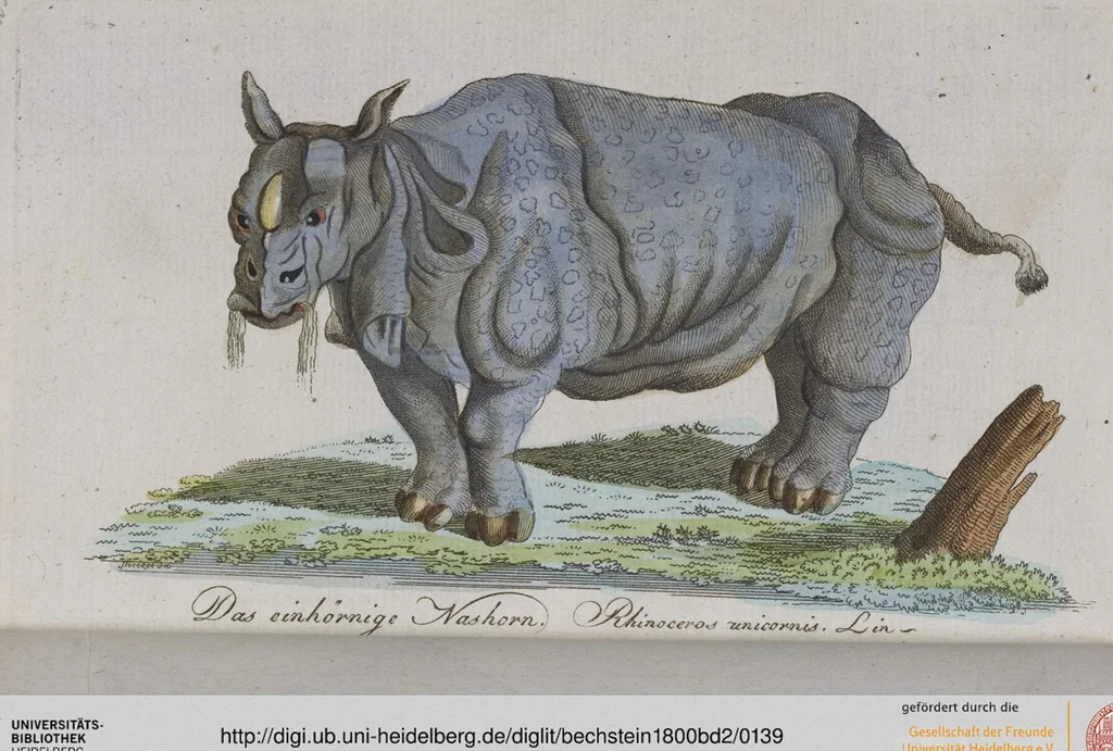 An illustration from (Band 2): Zweytes Hundert, 1796, leaf 139