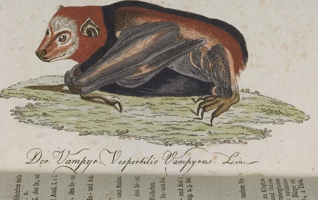 An illustration from (Band 2): Zweytes Hundert, 1796, leaf 161