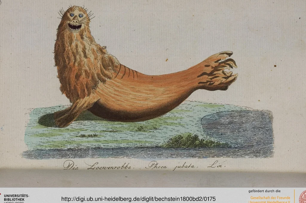 An illustration from (Band 2): Zweytes Hundert, 1796, leaf 175