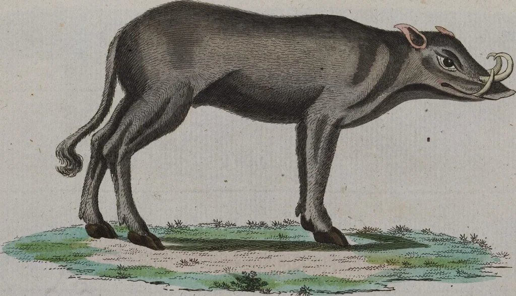 An illustration from (Band 2): Zweytes Hundert, 1796, leaf 226