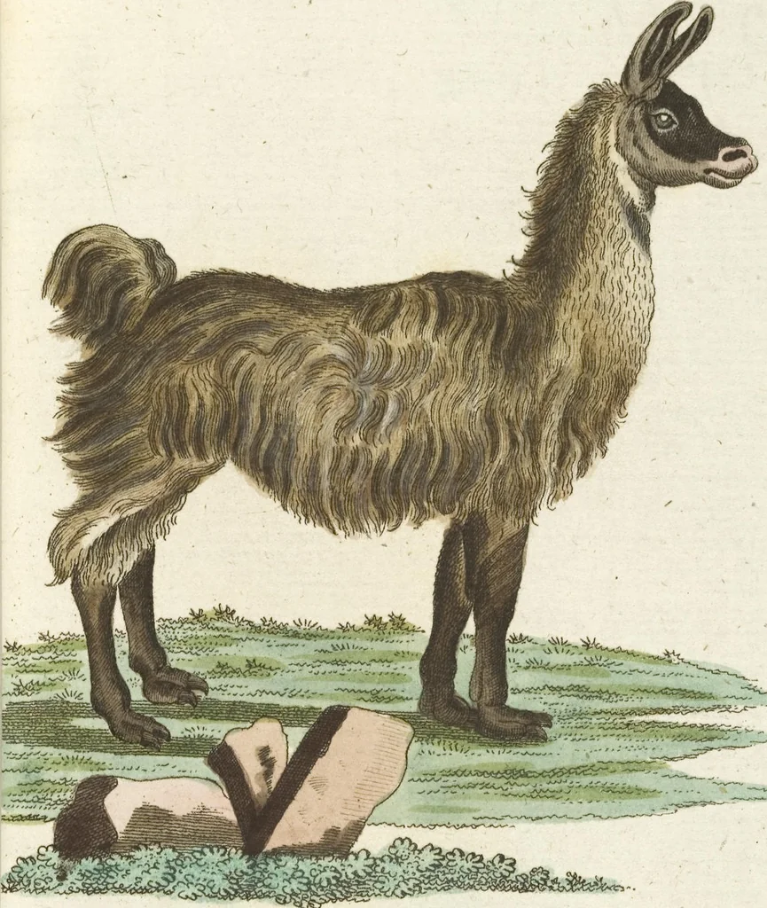 An illustration from (Band 3): Drittes Hundert oder III. Band, 1802, leaf 114