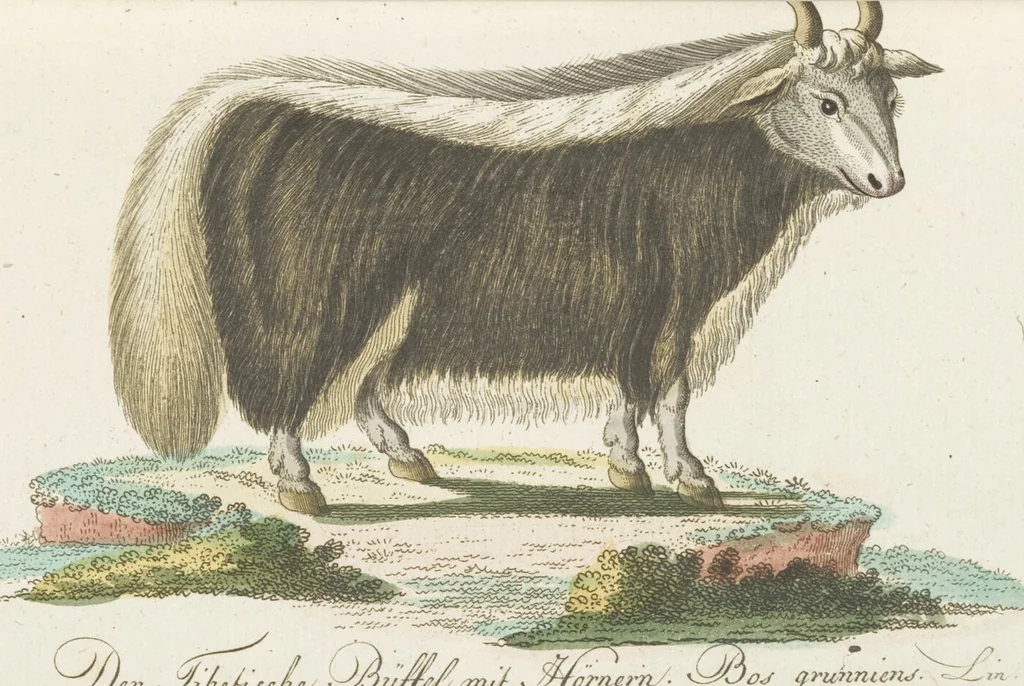 An illustration from (Band 3): Drittes Hundert oder III. Band, 1802, leaf 115