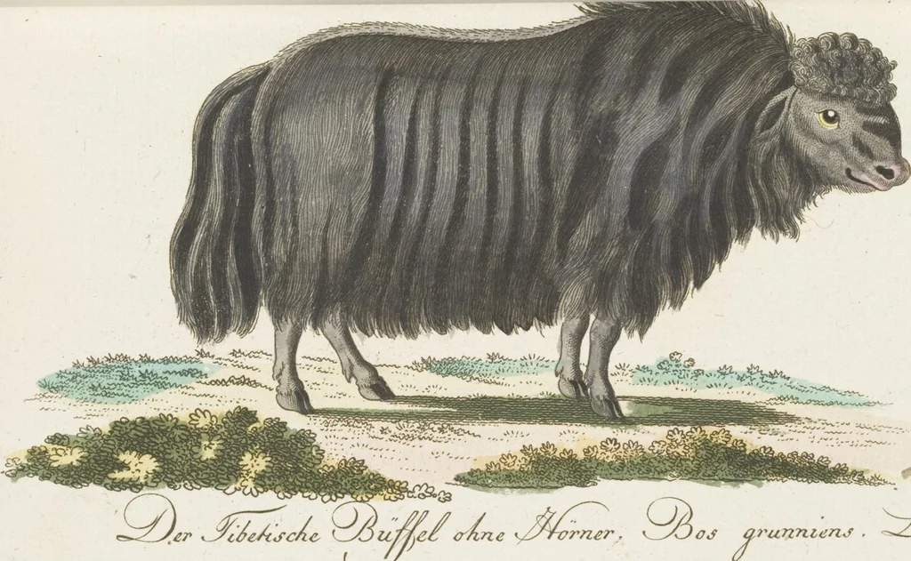 An illustration from (Band 3): Drittes Hundert oder III. Band, 1802, leaf 116