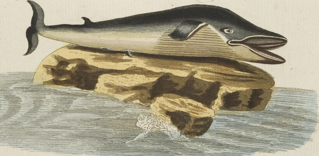 An illustration from (Band 3): Drittes Hundert oder III. Band, 1802, leaf 124