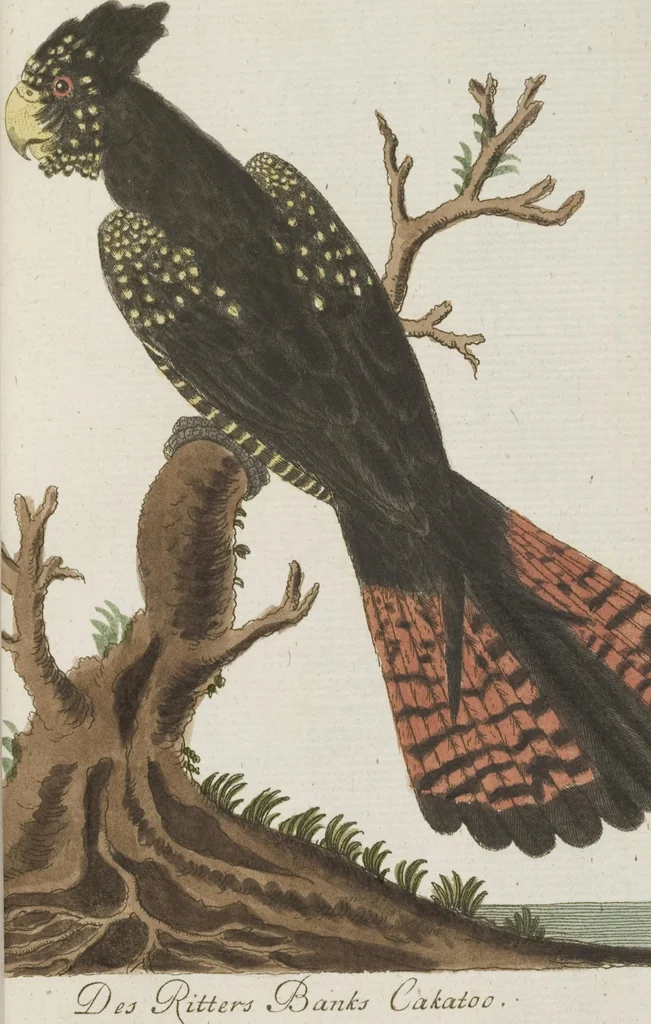 An illustration from (Band 3): Drittes Hundert oder III. Band, 1802, leaf 167
