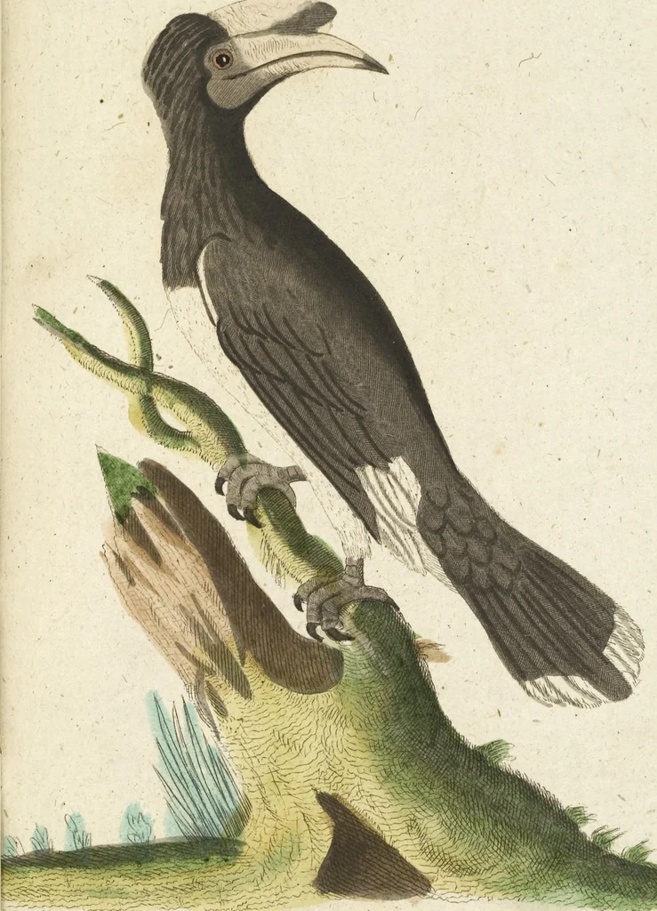 An illustration from (Band 3): Drittes Hundert oder III. Band, 1802, leaf 177
