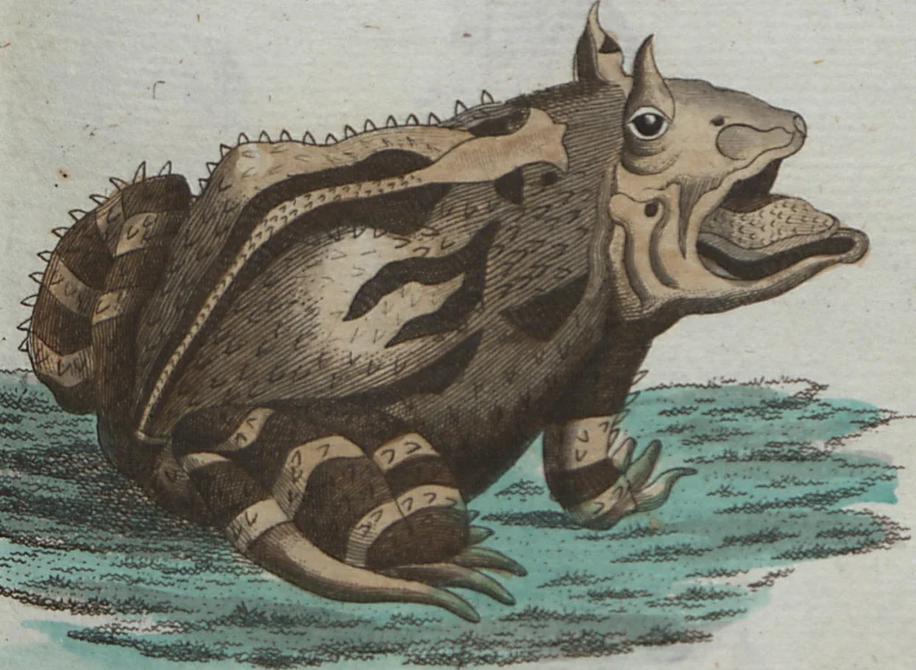 An illustration from (Band 4): Viertes Hundert, 1802, leaf 113