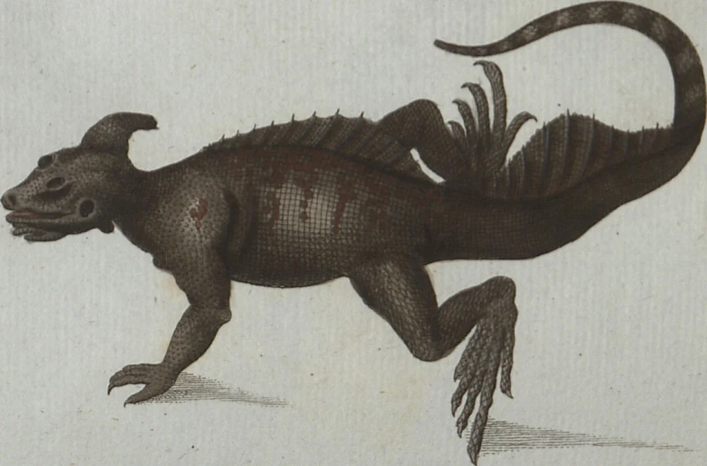 An illustration from (Band 4): Viertes Hundert, 1802, leaf 114
