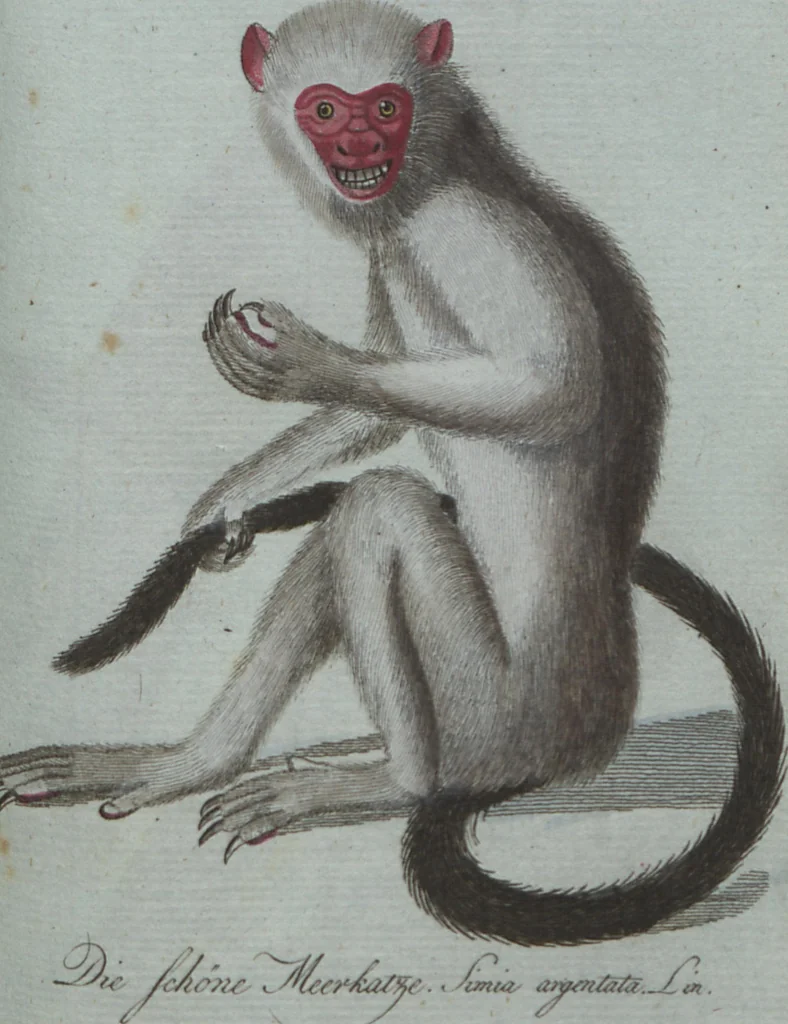 An illustration from (Band 4): Viertes Hundert, 1802, leaf 179