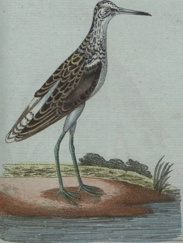An illustration from (Band 4): Viertes Hundert, 1802, leaf 181