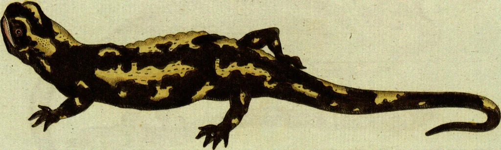 An illustration from (Band 5): Fünftes Hundert, 1804, leaf 117