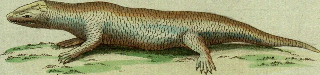 An illustration from (Band 5): Fünftes Hundert, 1804, leaf 128