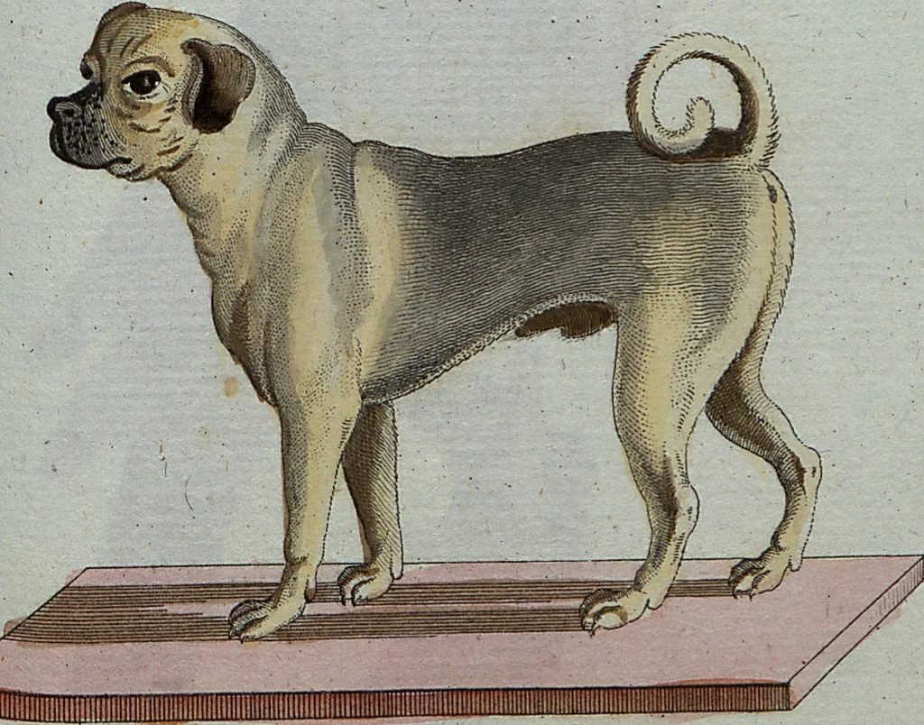 An illustration from (Band 7): Siebentes Hundert, 1807, leaf 122