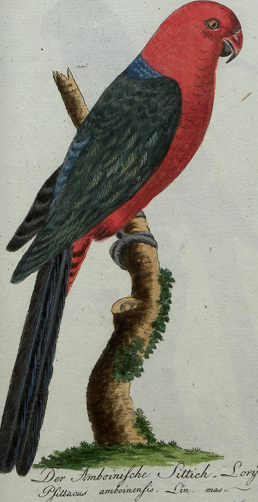 An illustration from (Band 7): Siebentes Hundert, 1807, leaf 123