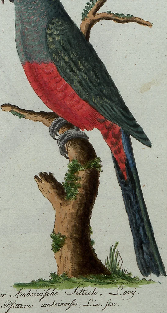 An illustration from (Band 7): Siebentes Hundert, 1807, leaf 124