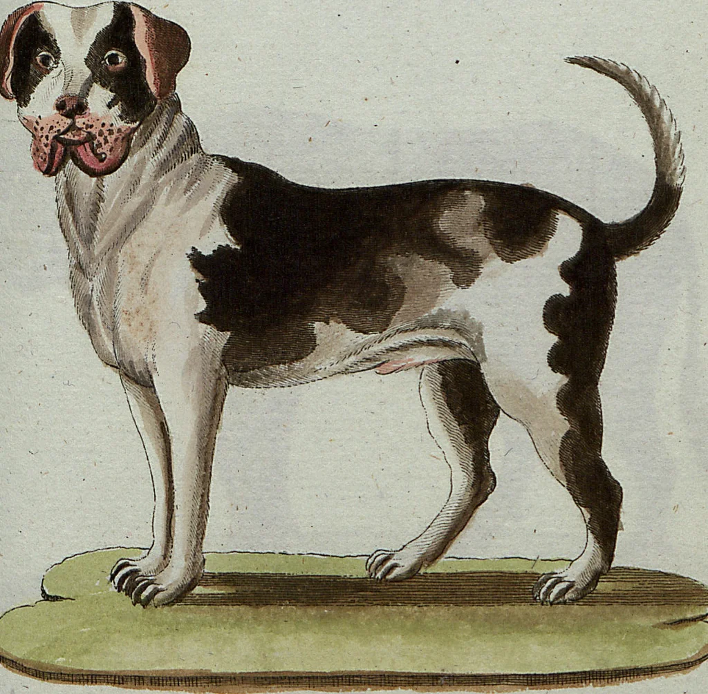 An illustration from (Band 7): Siebentes Hundert, 1807, leaf 131