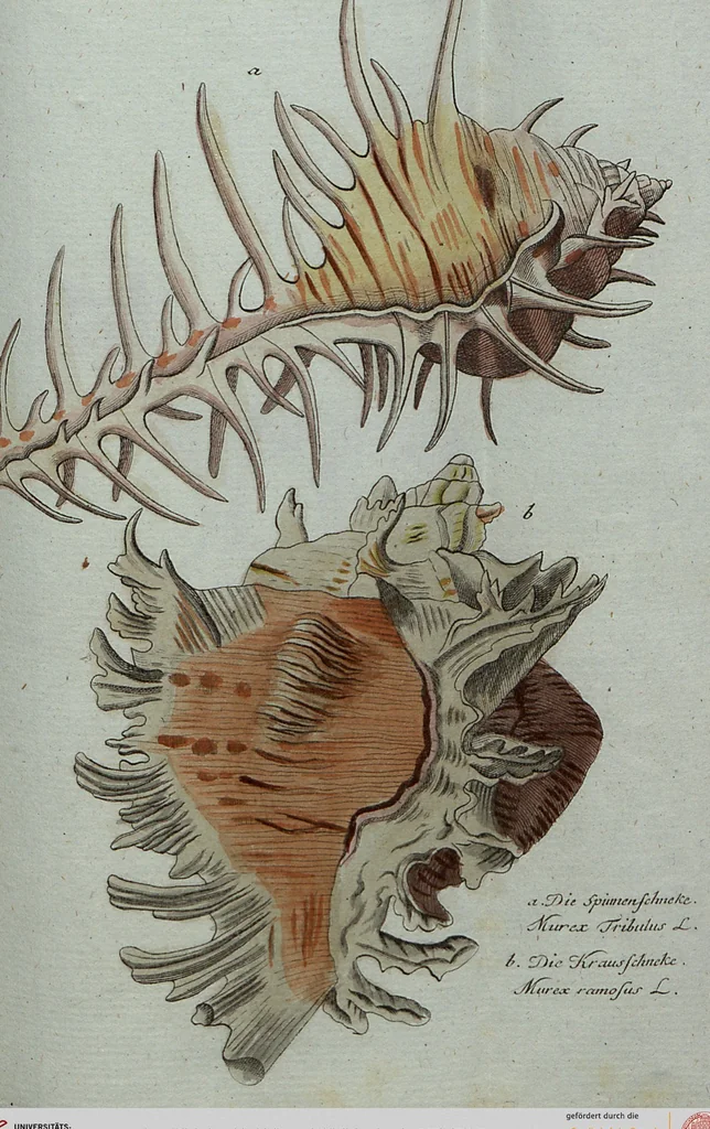 An illustration from (Band 7): Siebentes Hundert, 1807, leaf 176
