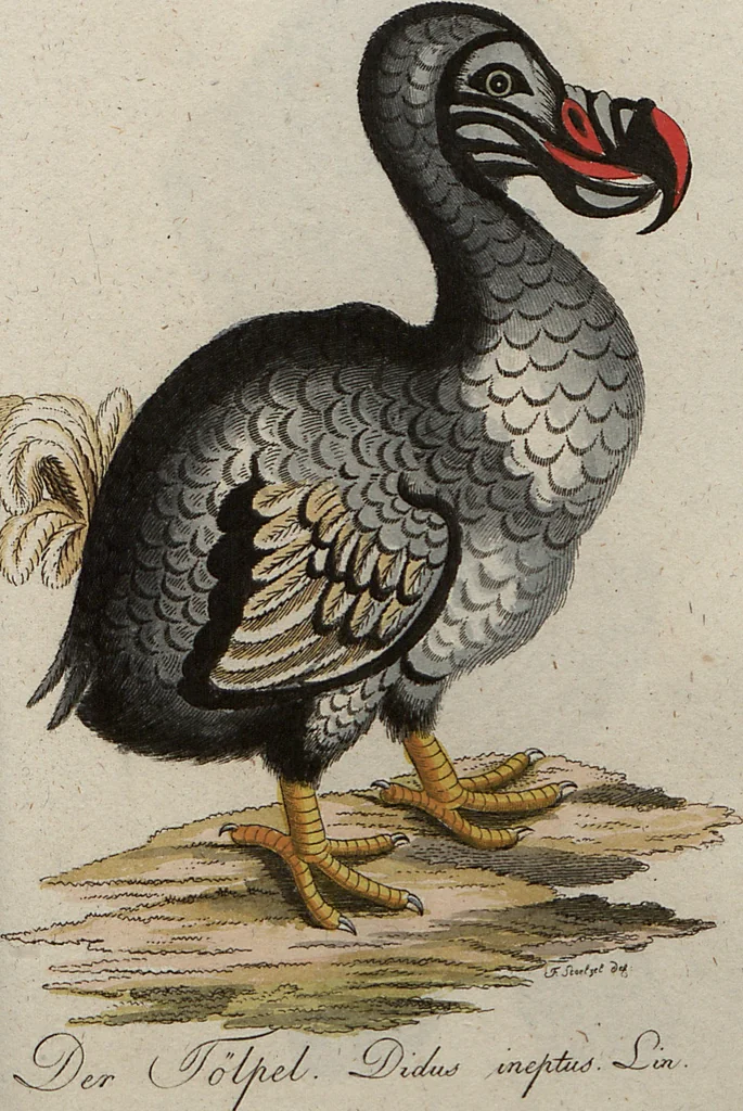 An illustration from (Band 7): Siebentes Hundert, 1807, leaf 184