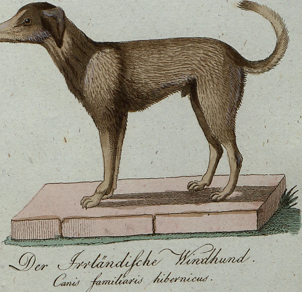 An illustration from (Band 7): Siebentes Hundert, 1807, leaf 200