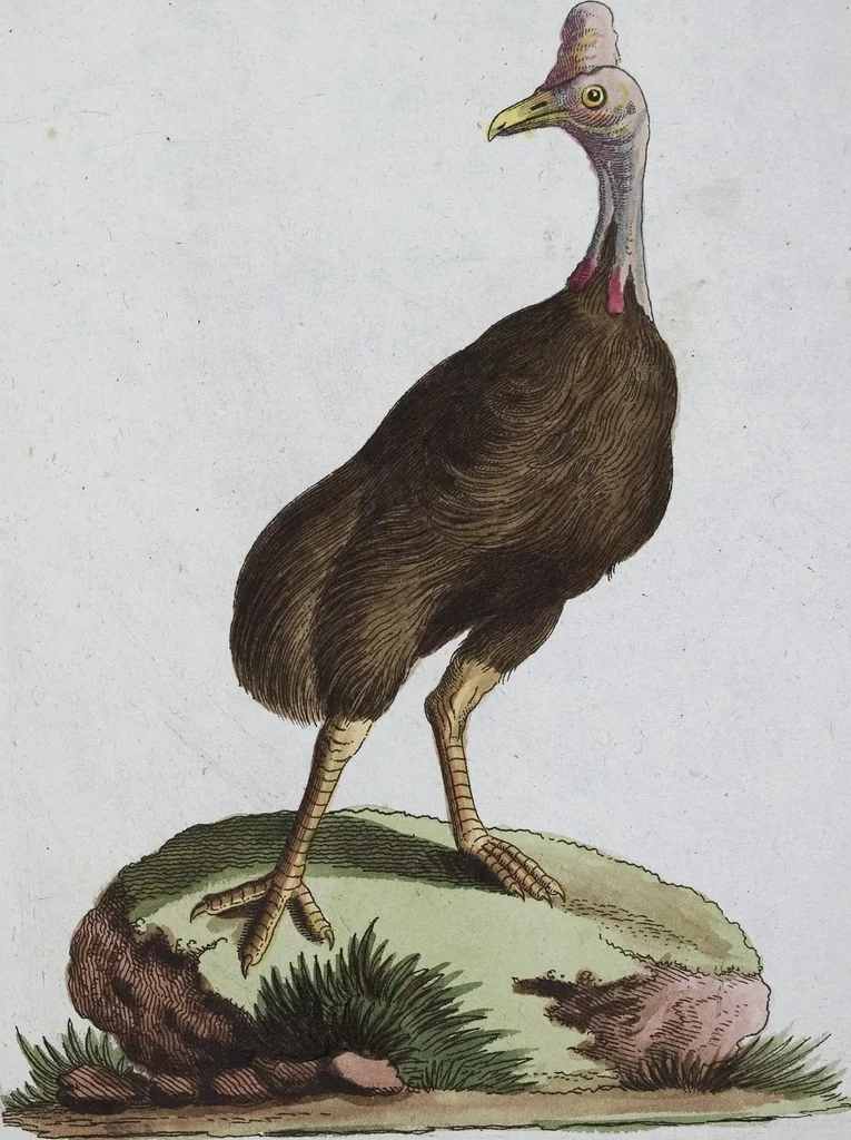 An illustration from (Band 8): Achtes Hundert, 1807, leaf 112