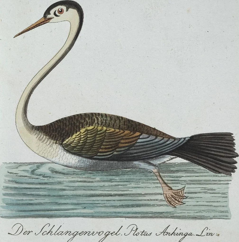 An illustration from (Band 8): Achtes Hundert, 1807, leaf 119