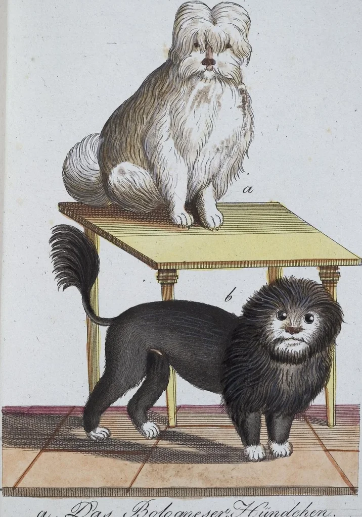 An illustration from (Band 8): Achtes Hundert, 1807, leaf 127