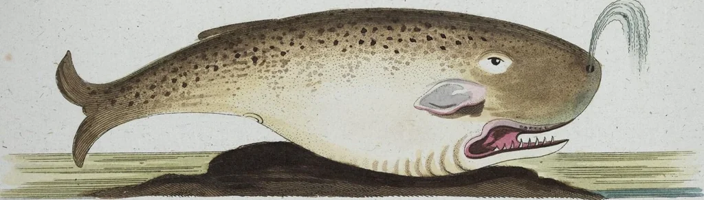 An illustration from (Band 8): Achtes Hundert, 1807, leaf 172